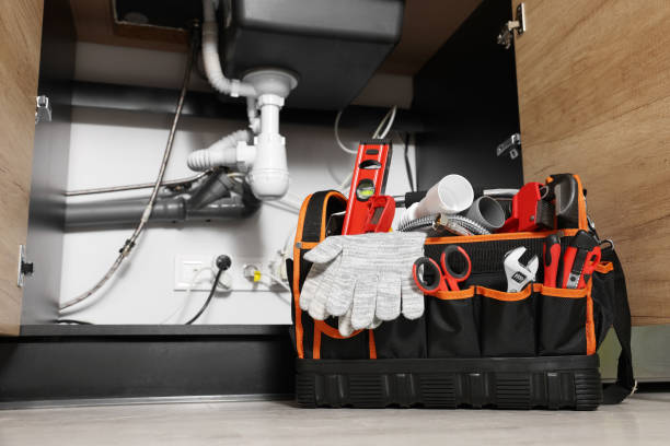 Best Same-Day Plumbing Service  in Broadview Park, FL